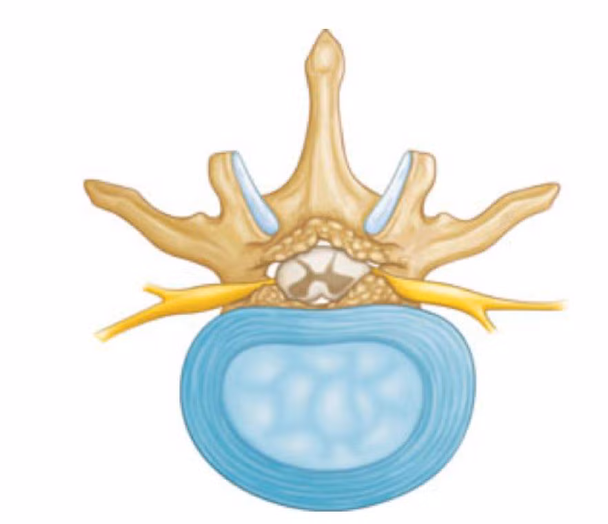 Round Image 1